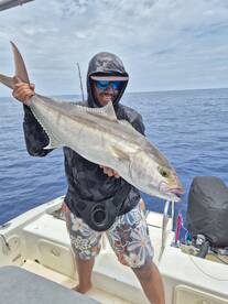 Amberjack day .???