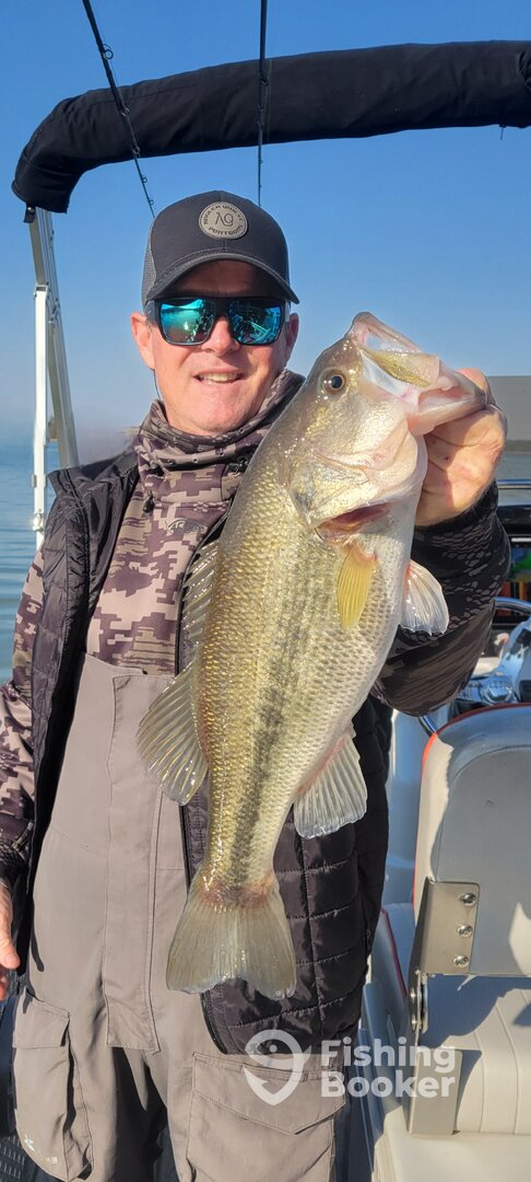 Dadeville Report Photo 0