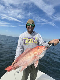 Fernandina Beach Report Photo 2