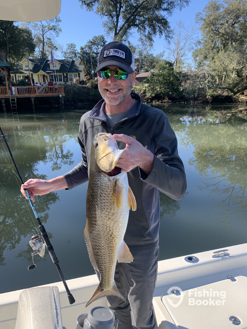 Gulf Shores Report Photo 0