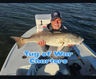 Tug Of War!!! Tug on it!!!