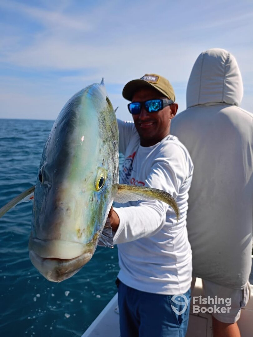 Quepos Report Photo 0