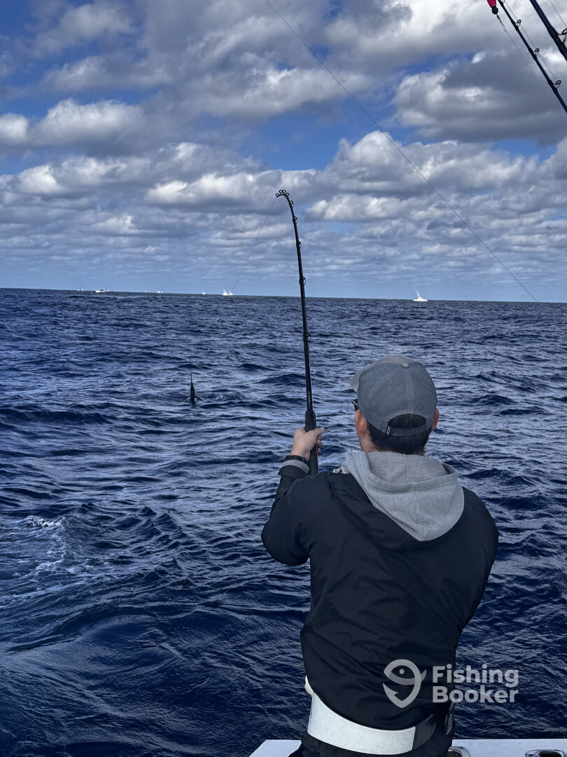 Jupiter Report Photo 0