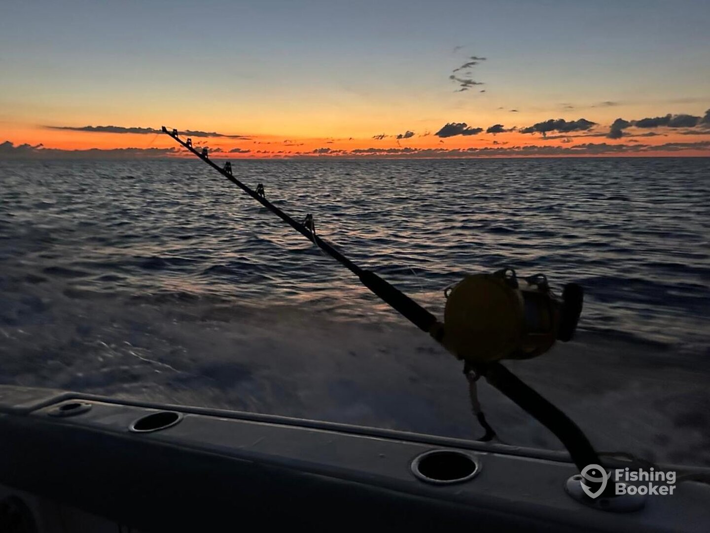 Puerto Aventuras Report Photo 0