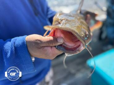 Hopewell Report Photo 2