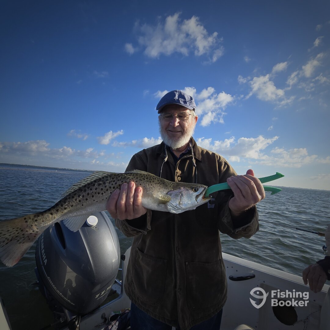 Sarasota Report Photo 0