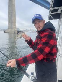 Coronado bridge Halibut!
