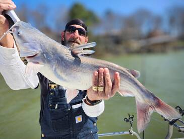 Clover Report Photo 2