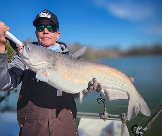 Clover Report Photo 1