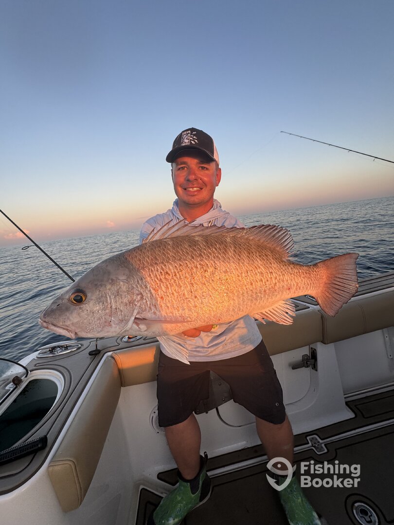 Naples Report Photo 0