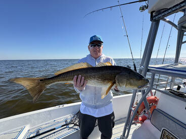 Big bull reds are chewing! 