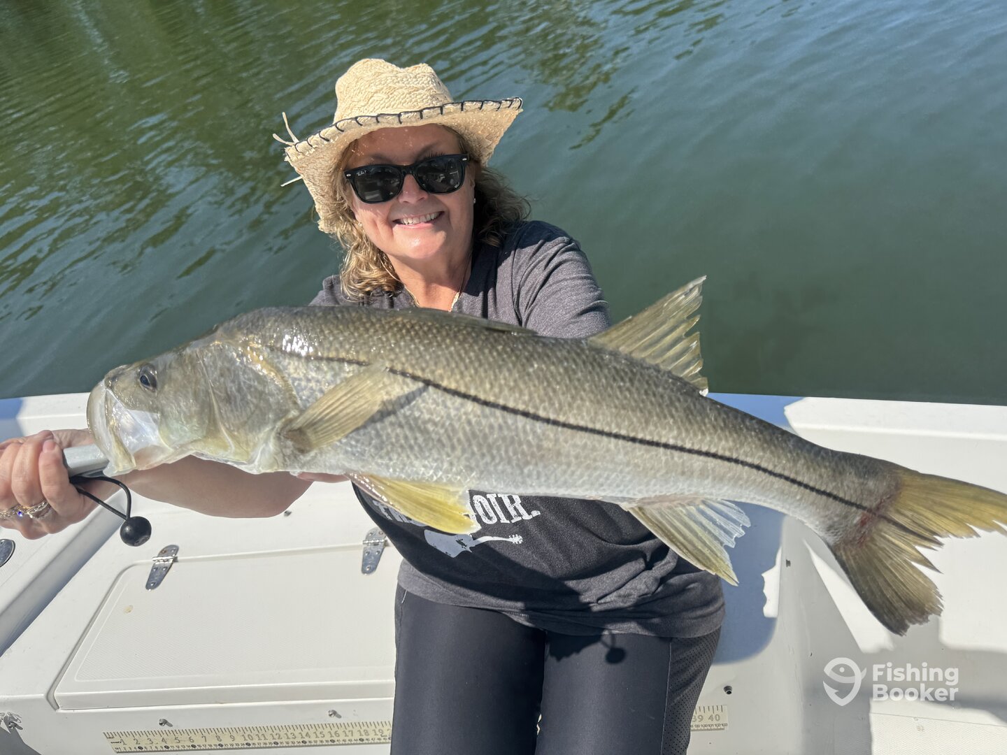 St. Petersburg Report Photo 0