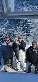 Cape Hatteras Report Photo 2