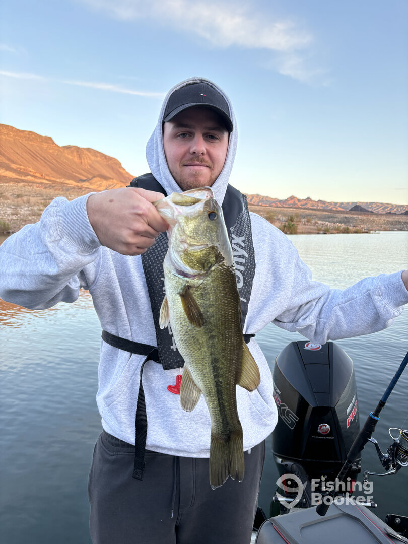 Nice Largemouth caught this evening.