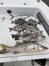 Port Canaveral Report Photo 1