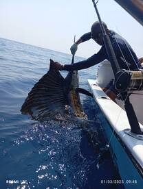 Herradura Report Photo 1