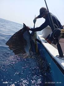 Herradura Report Photo 2