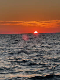 Full day offshore tuna