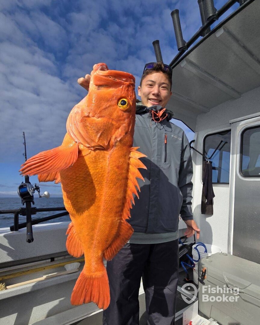 Ketchikan Report Photo 0