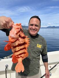 Ketchikan Report Photo 2