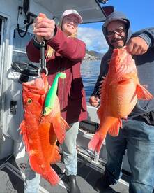 Ketchikan Report Photo 1