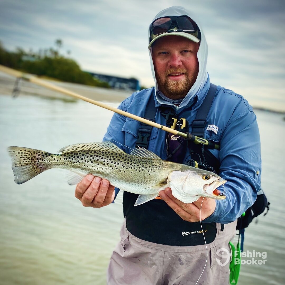 Palmetto Report Photo 0