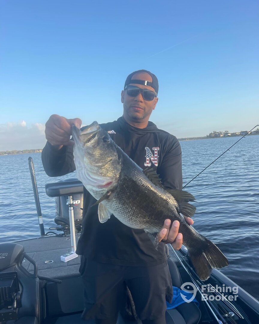 Winter Garden Report Photo 0