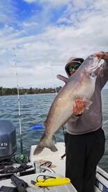 Moncks Corner Report Photo 1