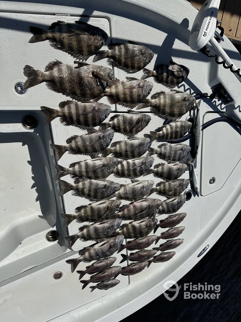 Apalachicola Report Photo 0