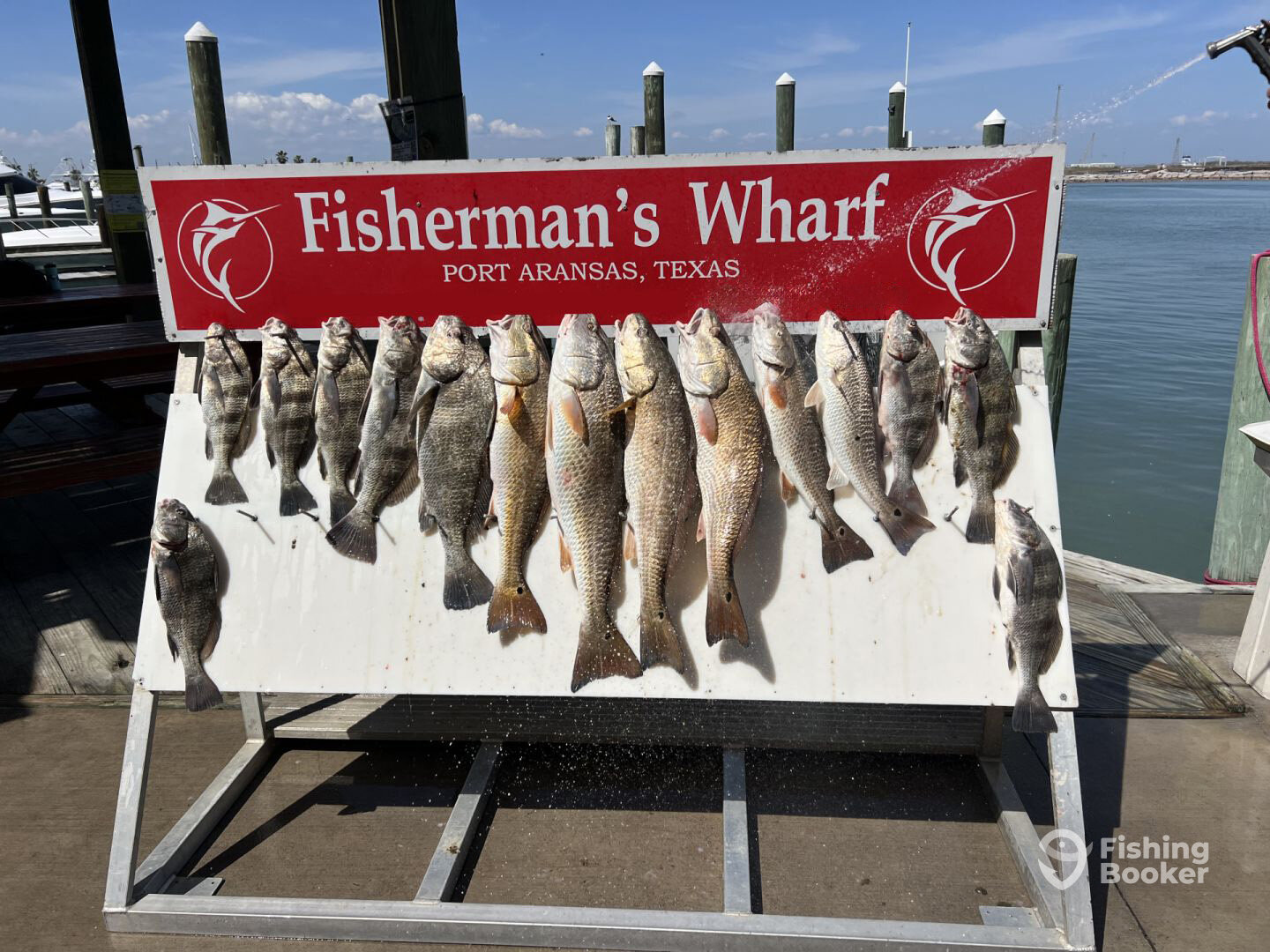 Port Aransas Report Photo 0