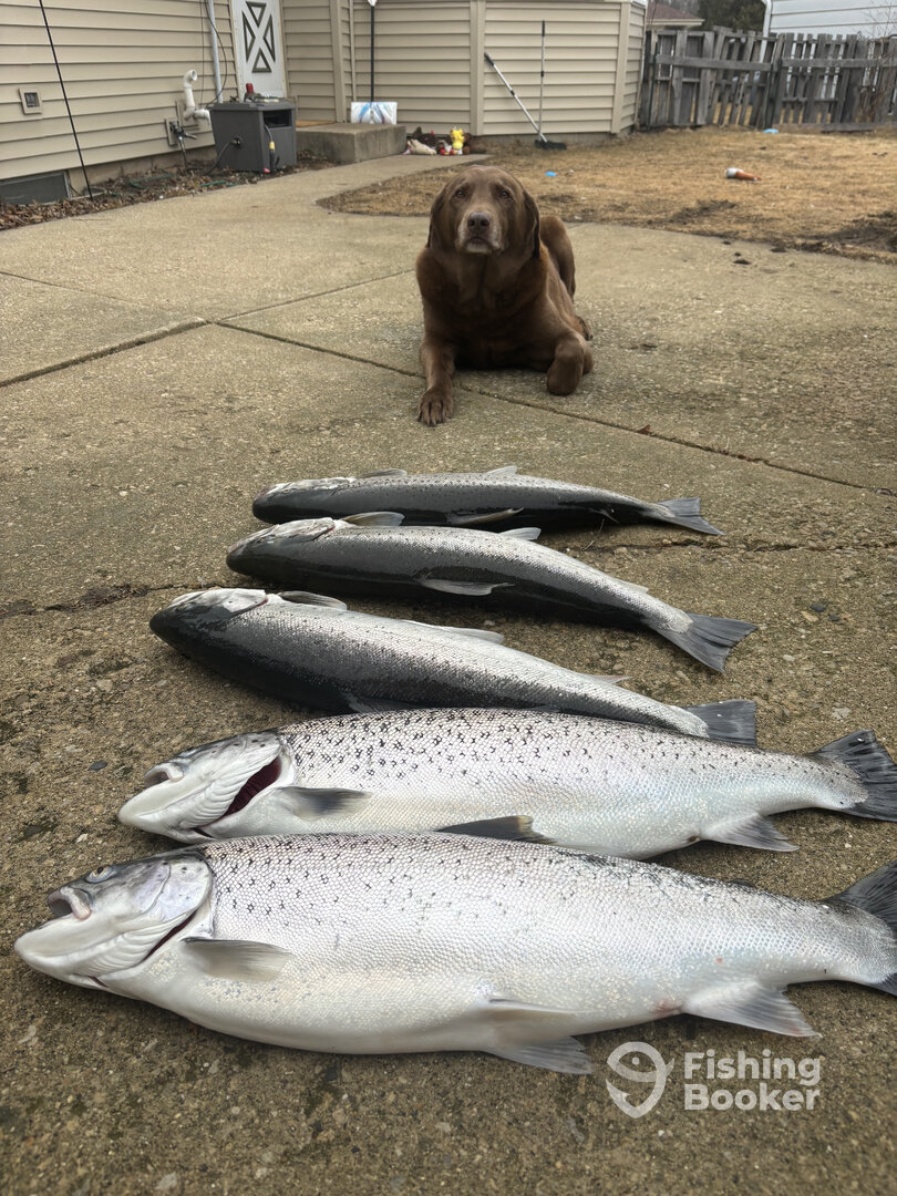 Oak Creek Report Photo 0