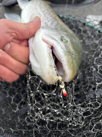 Oak Creek Report Photo 2