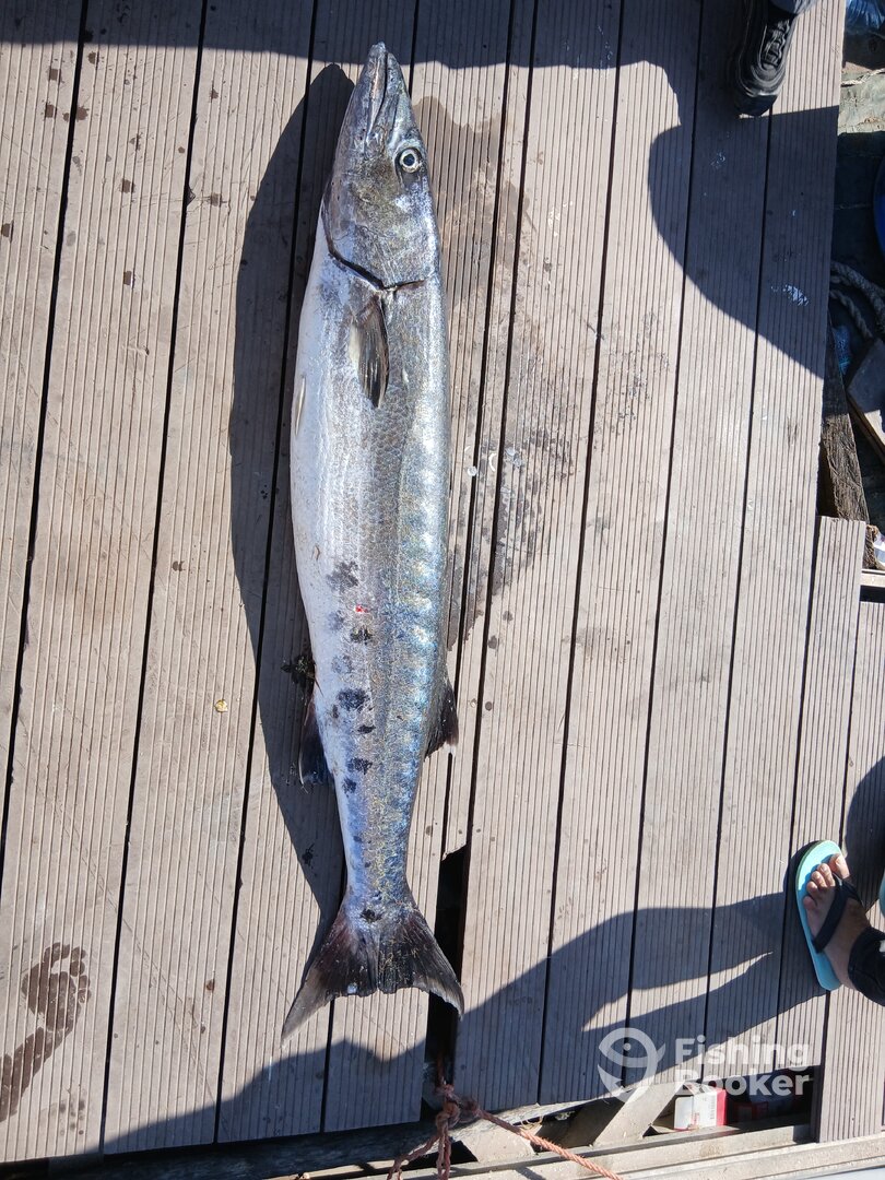 Mombasa Report Photo 0