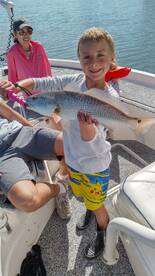 Belleair Bluffs Report Photo 1