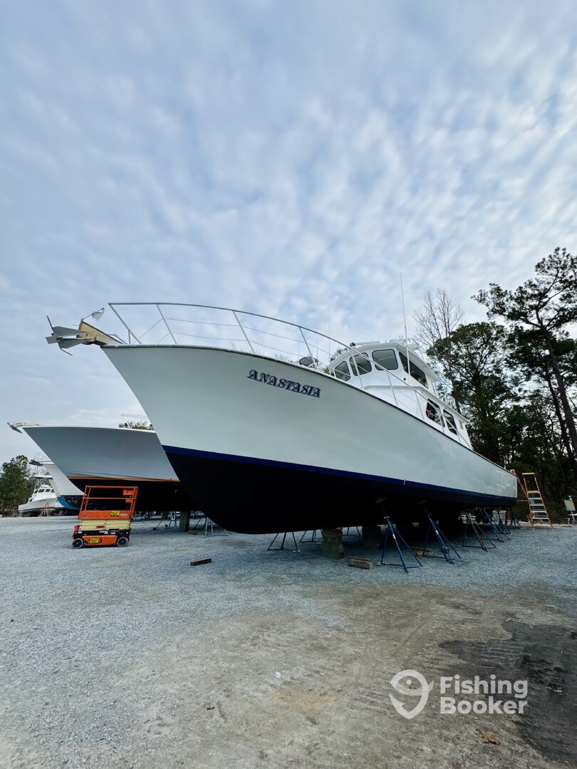 Destin Report Photo 0