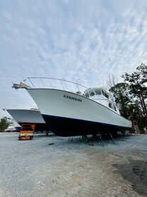 Destin Fishing Report: Spring Fishing