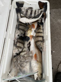 More spring fishing !!