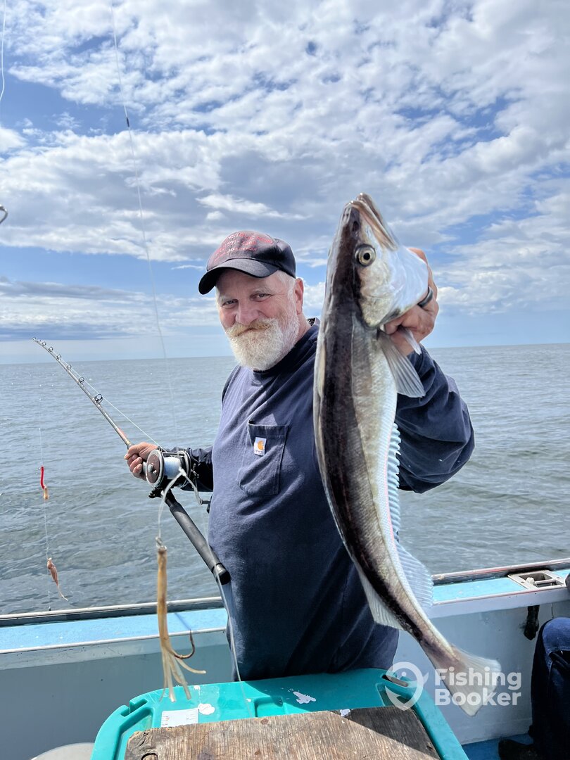 Kittery Report Photo 0