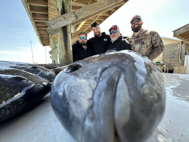 Sheepshead Bite is on ?