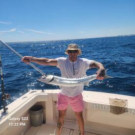 2 for 2 on sailfish