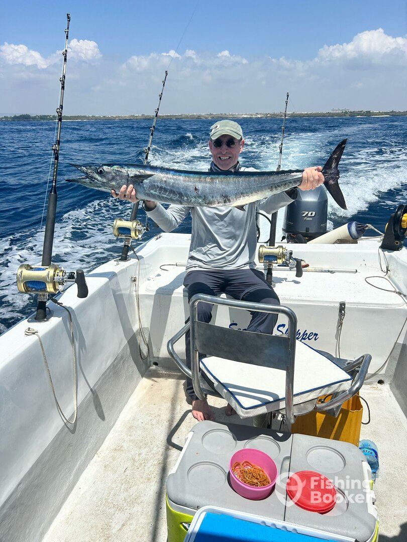 Mombasa Report Photo 0