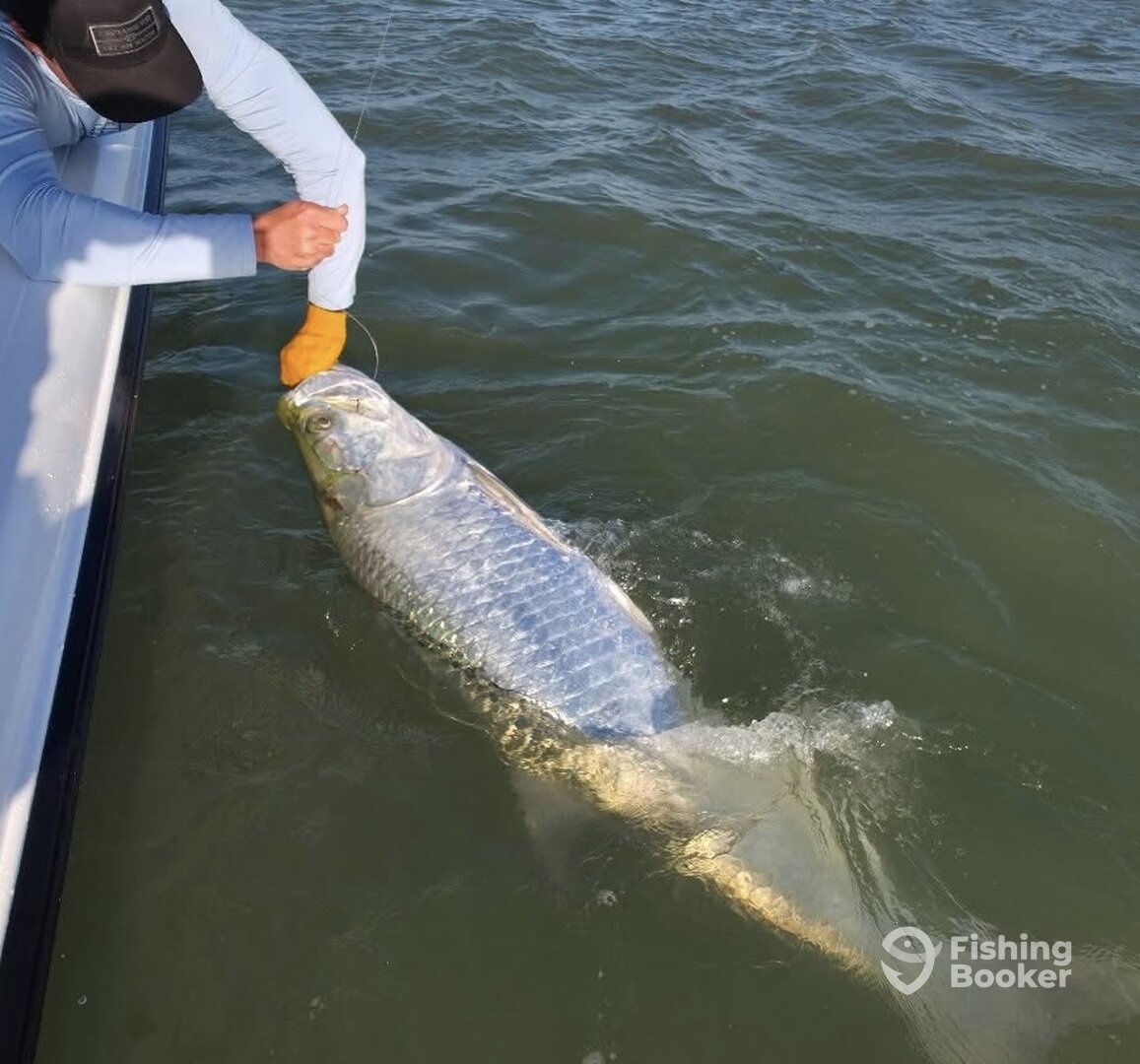 Carolina Report Photo 0