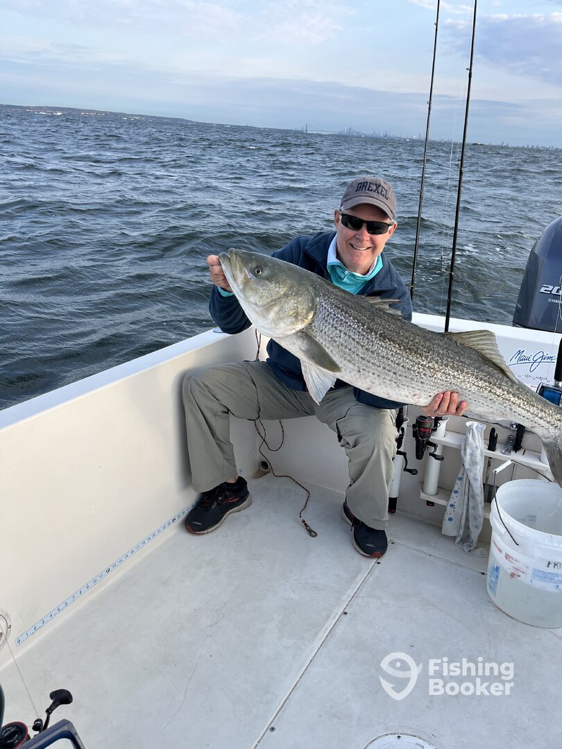 Highlands Report Photo 0