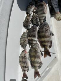 Orange Beach Report Photo 2