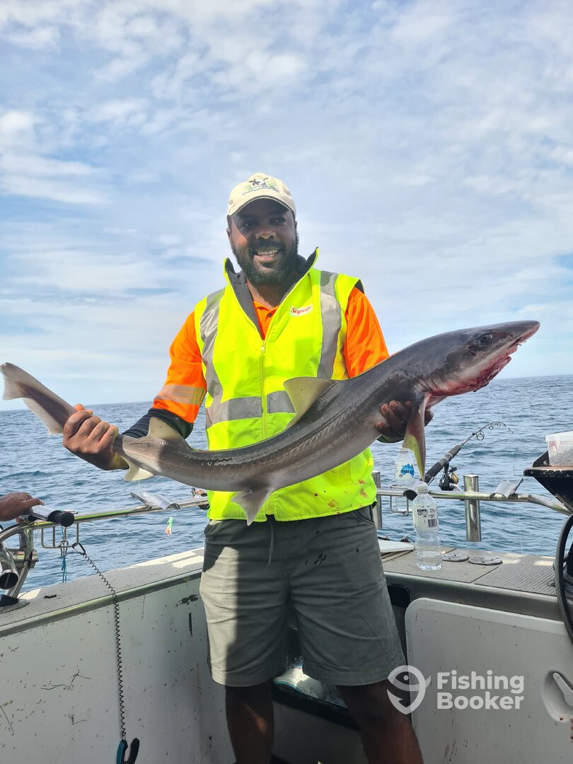 Portland Report Photo 0