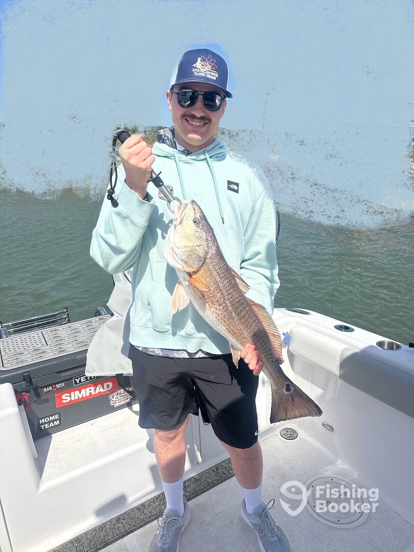 Mount Pleasant Report Photo 0