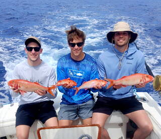 Bottom fishing afternoon, action! 