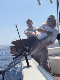 Sailfish on board 
