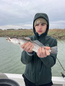 Mount Pleasant Report Photo 1