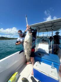 Airlie Beach Report Photo 2